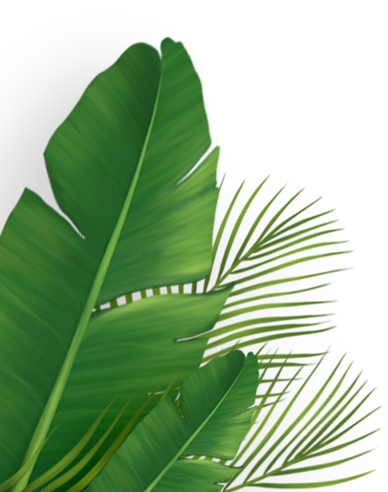 Botton-Elements-copy@3x-2.png
