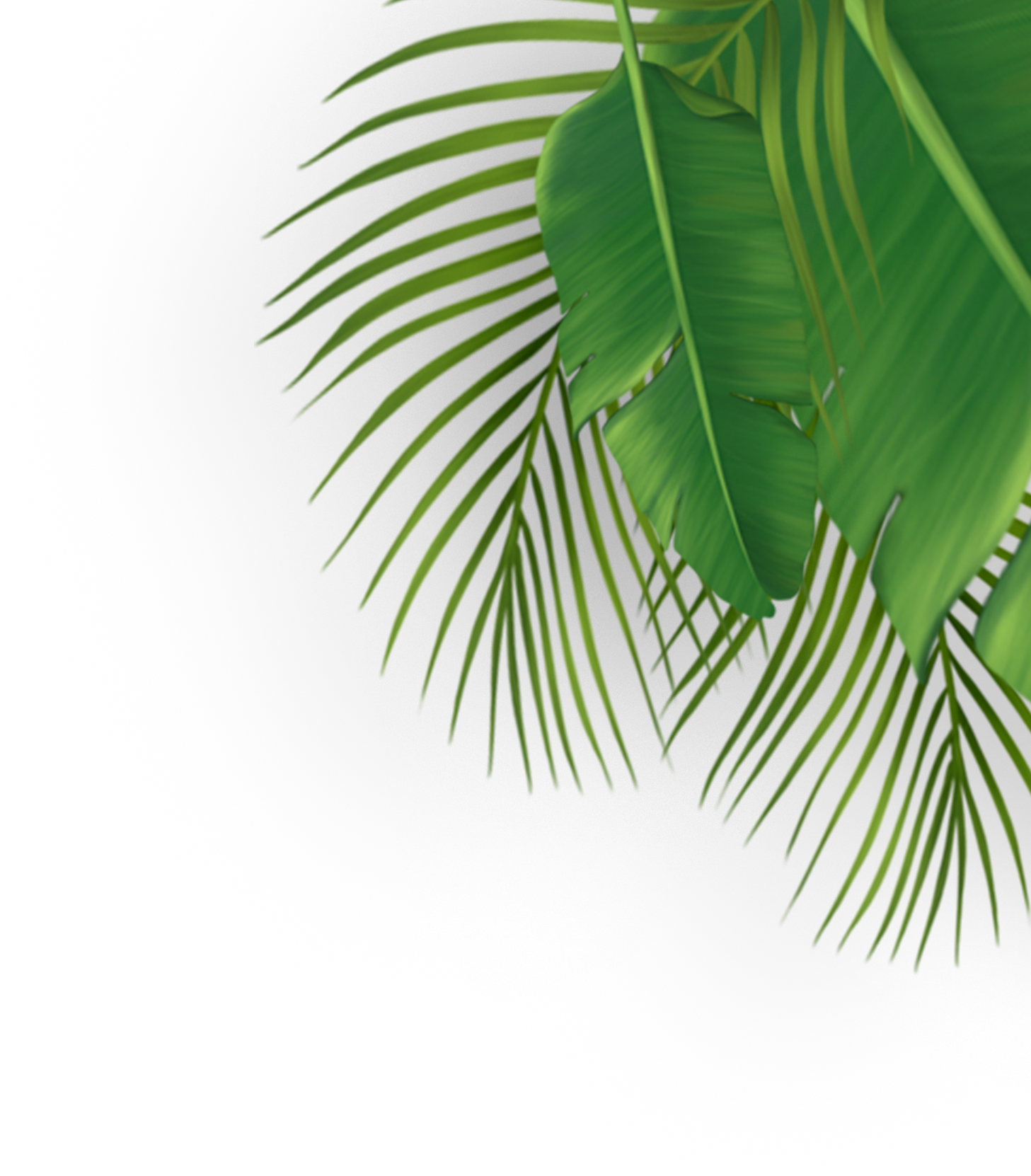 Botton-Elements@3x-1.png