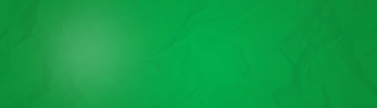 Layer-19.png